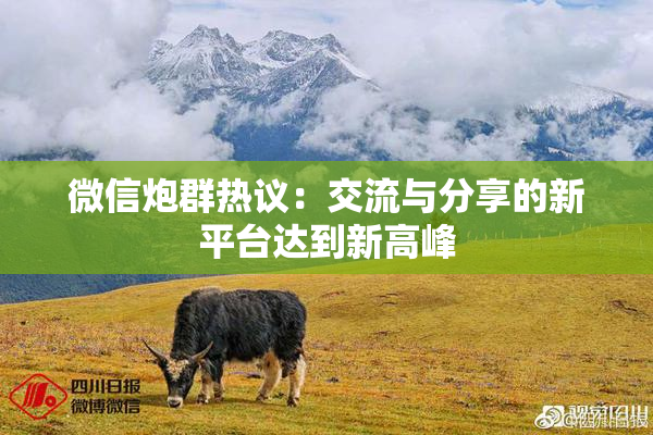 微信炮群热议：交流与分享的新平台达到新高峰