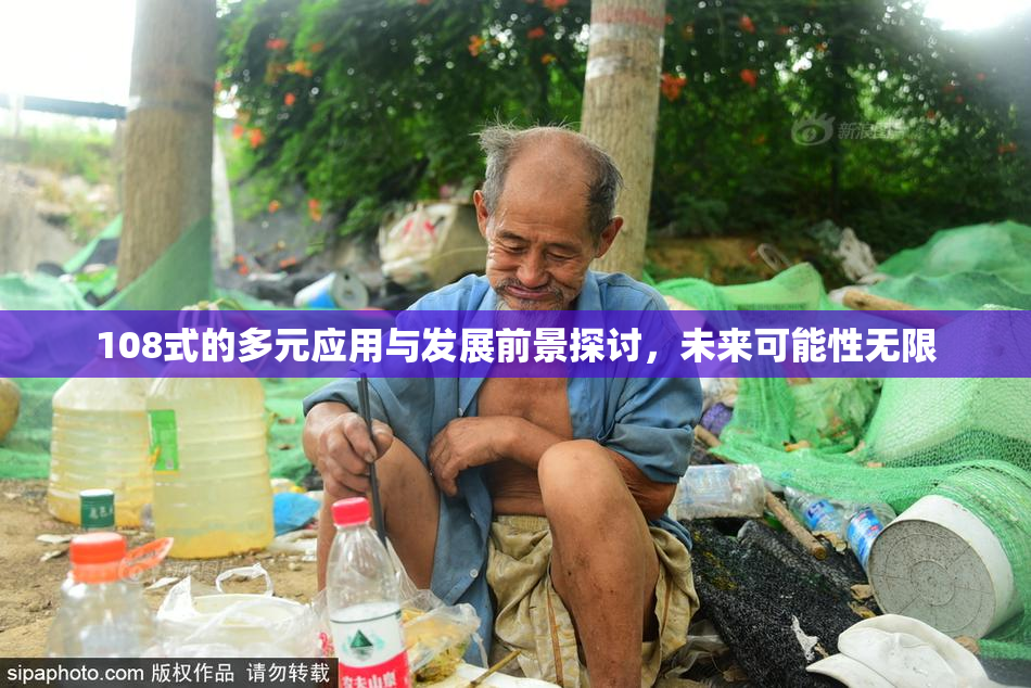 108式的多元应用与发展前景探讨，未来可能性无限
