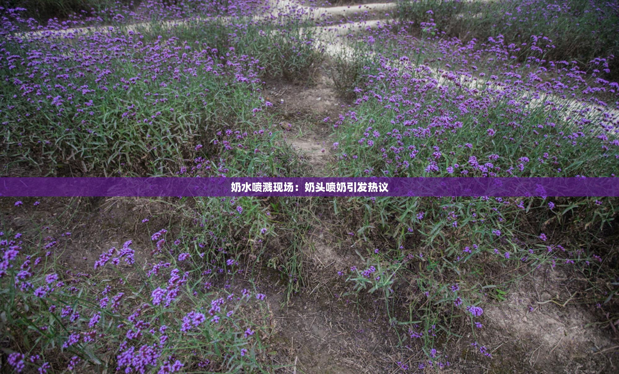 奶水喷溅现场：奶头喷奶引发热议