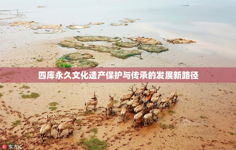 四库永久文化遗产保护与传承的发展新路径