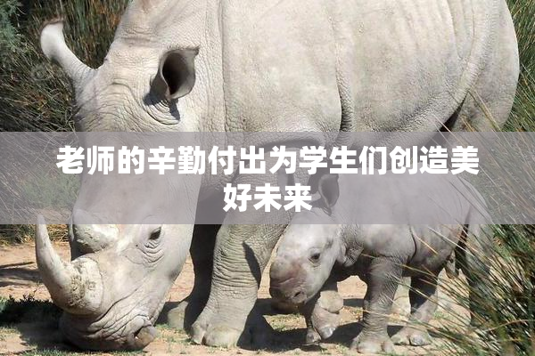 老师的辛勤付出为学生们创造美好未来