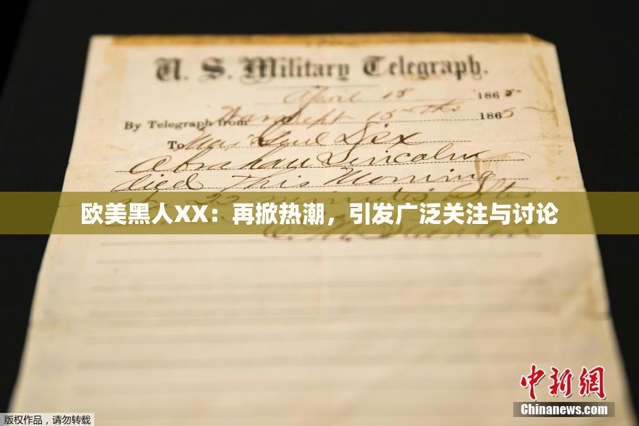 欧美黑人XX：再掀热潮，引发广泛关注与讨论