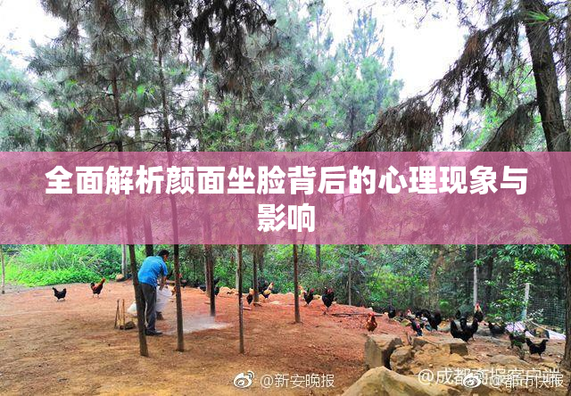 全面解析颜面坐脸背后的心理现象与影响
