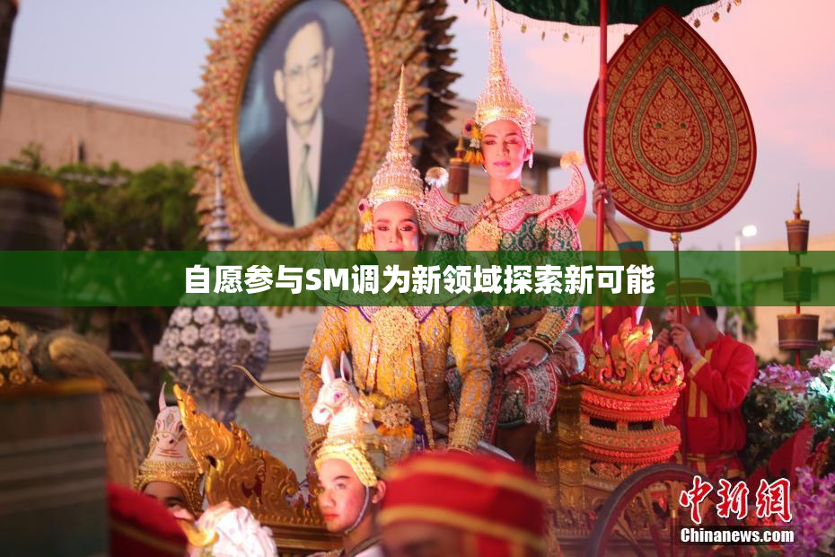 自愿参与SM调为新领域探索新可能