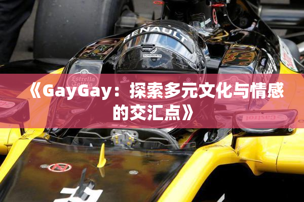 《GayGay：探索多元文化与情感的交汇点》