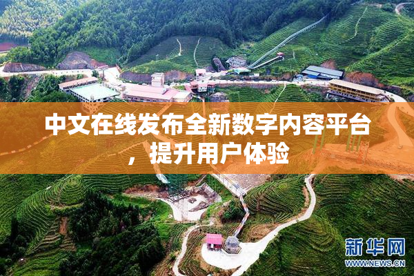 中文在线发布全新数字内容平台，提升用户体验
