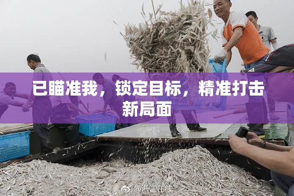 已瞄准我，锁定目标，精准打击新局面