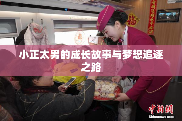 小正太男的成长故事与梦想追逐之路