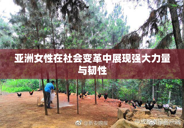 亚洲女性在社会变革中展现强大力量与韧性