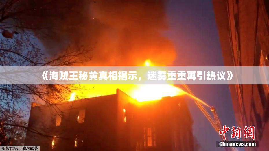 《海贼王秘黄真相揭示，迷雾重重再引热议》