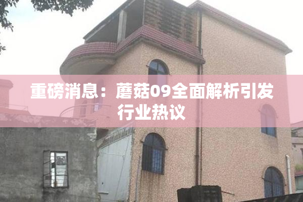 重磅消息：蘑菇09全面解析引发行业热议