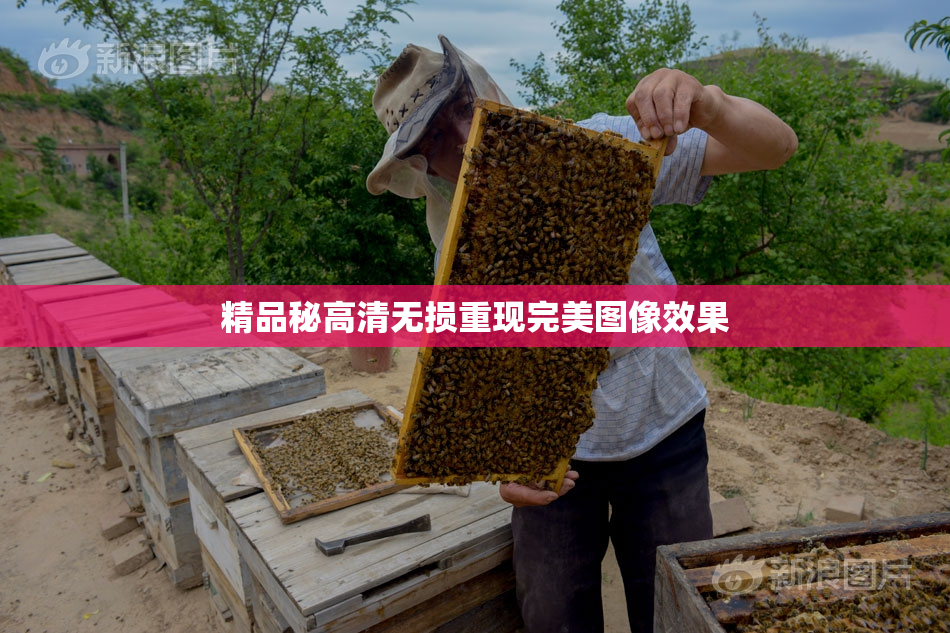 精品秘高清无损重现完美图像效果