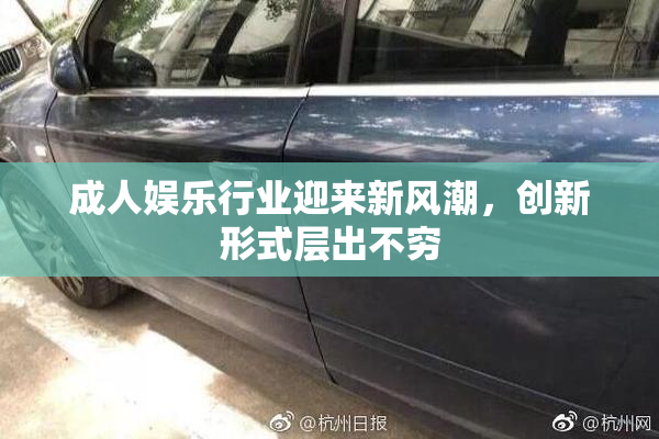 成人娱乐行业迎来新风潮，创新形式层出不穷