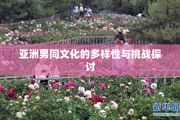 亚洲男同文化的多样性与挑战探讨