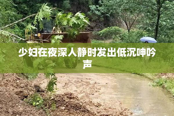 少妇在夜深人静时发出低沉呻吟声