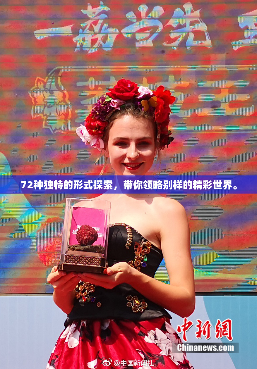 72种独特的形式探索，带你领略别样的精彩世界。