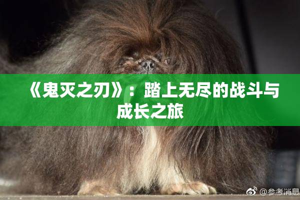 《鬼灭之刃》：踏上无尽的战斗与成长之旅