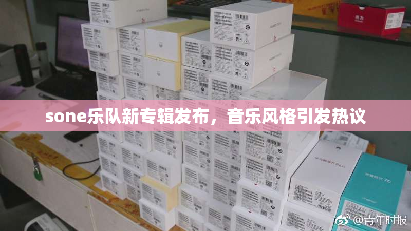 sone乐队新专辑发布，音乐风格引发热议