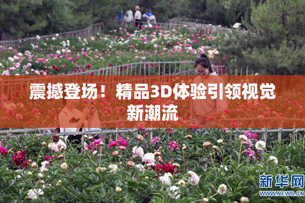 震撼登场！精品3D体验引领视觉新潮流