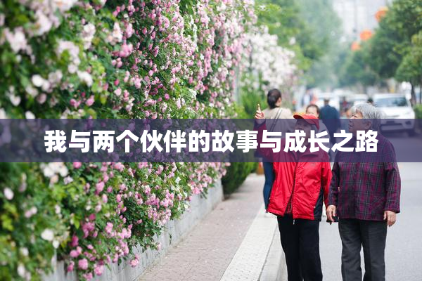我与两个伙伴的故事与成长之路
