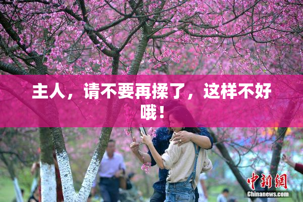 主人，请不要再揉了，这样不好哦！