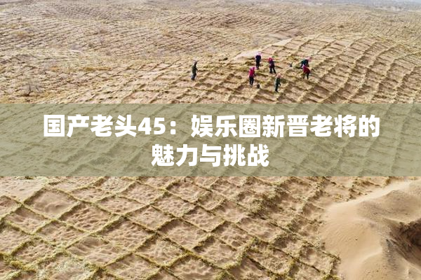 国产老头45：娱乐圈新晋老将的魅力与挑战