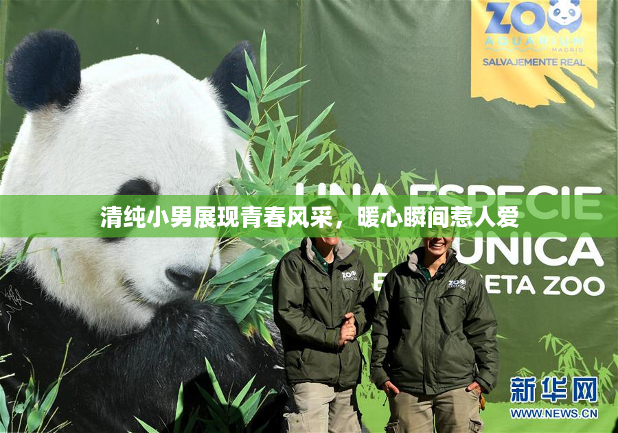 清纯小男展现青春风采，暖心瞬间惹人爱