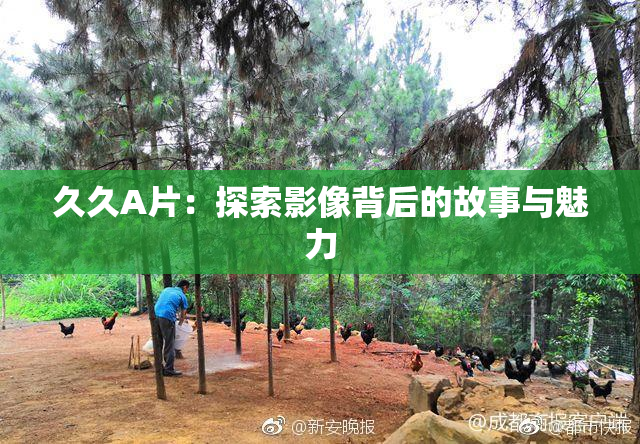 久久A片：探索影像背后的故事与魅力