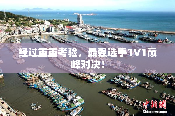 经过重重考验，最强选手1V1巅峰对决！