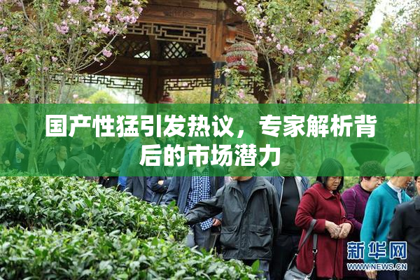 国产性猛引发热议，专家解析背后的市场潜力