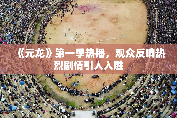 《元龙》第一季热播，观众反响热烈剧情引人入胜