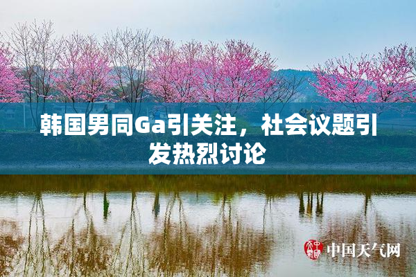 韩国男同Ga引关注，社会议题引发热烈讨论