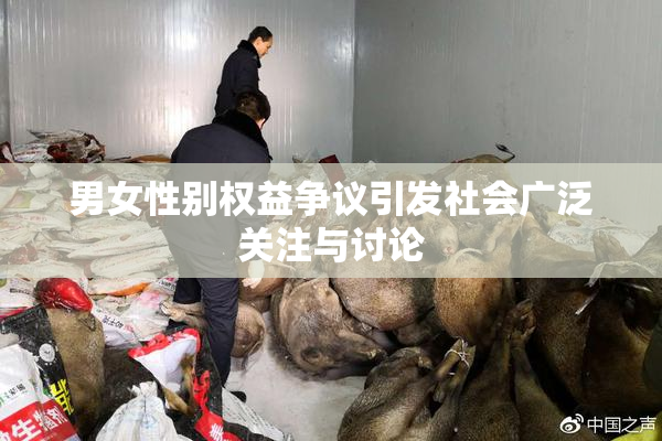 男女性别权益争议引发社会广泛关注与讨论