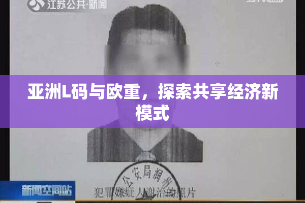 亚洲L码与欧重，探索共享经济新模式