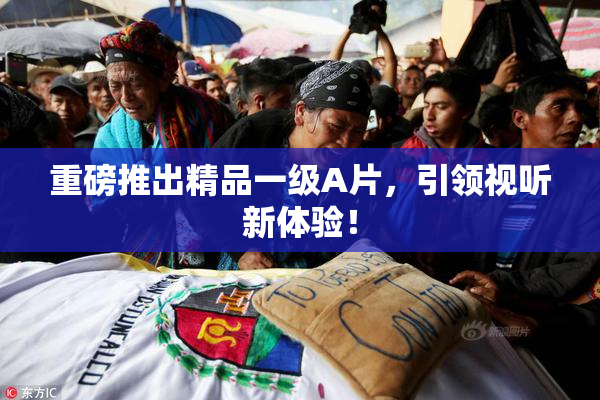 重磅推出精品一级A片，引领视听新体验！