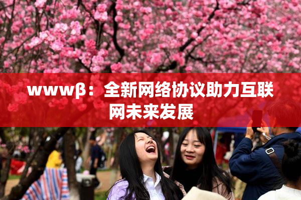 wwwβ：全新网络协议助力互联网未来发展