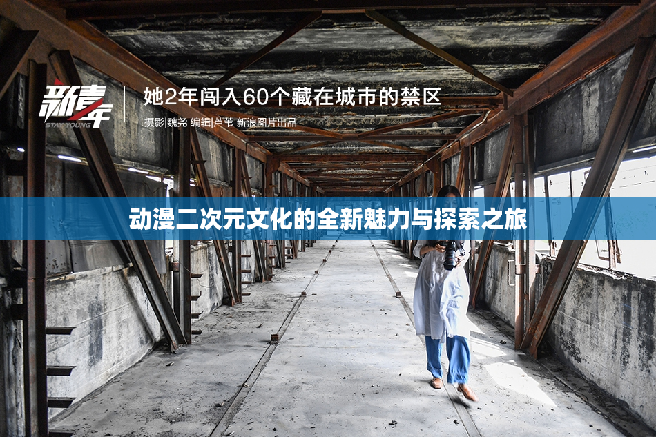动漫二次元文化的全新魅力与探索之旅
