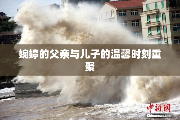 婉婷的父亲与儿子的温馨时刻重聚