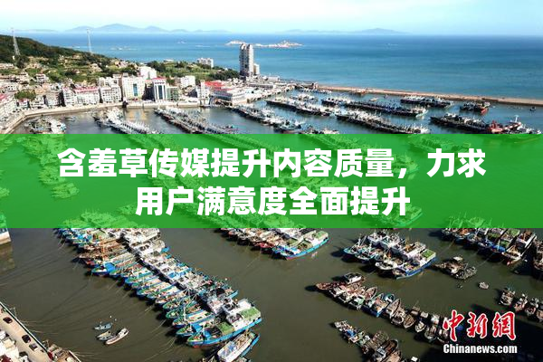 含羞草传媒提升内容质量，力求用户满意度全面提升