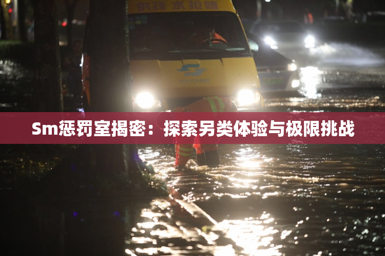 Sm惩罚室揭密：探索另类体验与极限挑战