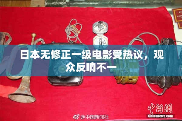 日本无修正一级电影受热议，观众反响不一