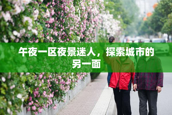 午夜一区夜景迷人，探索城市的另一面