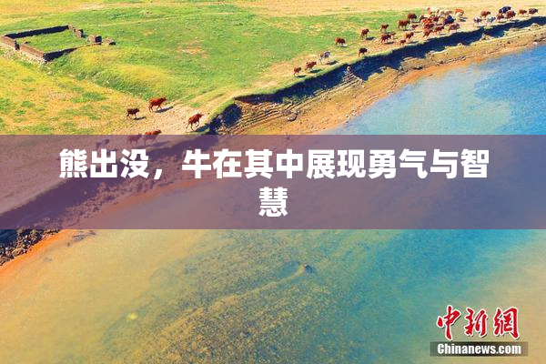 熊出没，牛在其中展现勇气与智慧