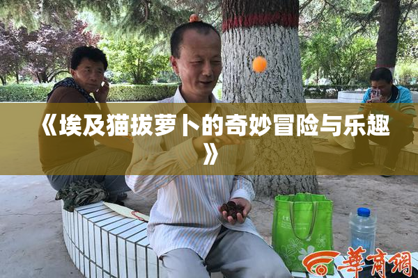 《埃及猫拔萝卜的奇妙冒险与乐趣》