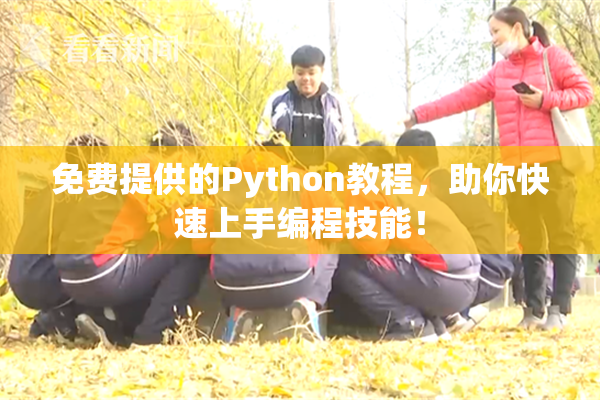 免费提供的Python教程，助你快速上手编程技能！