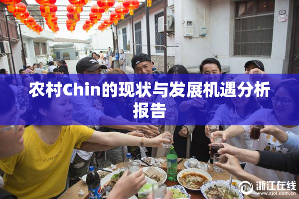 农村Chin的现状与发展机遇分析报告