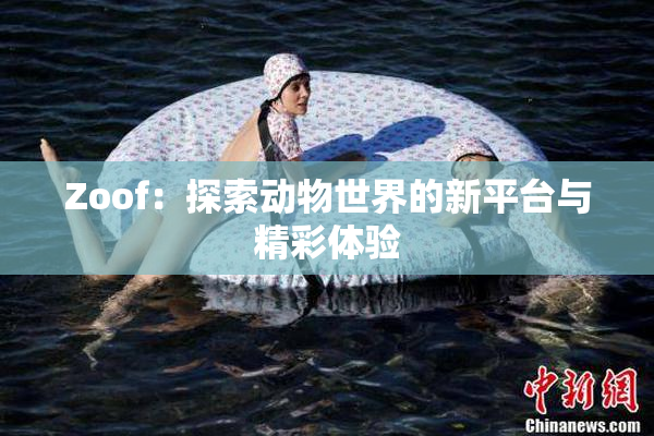 Zoof：探索动物世界的新平台与精彩体验