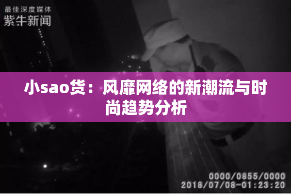小sao货：风靡网络的新潮流与时尚趋势分析