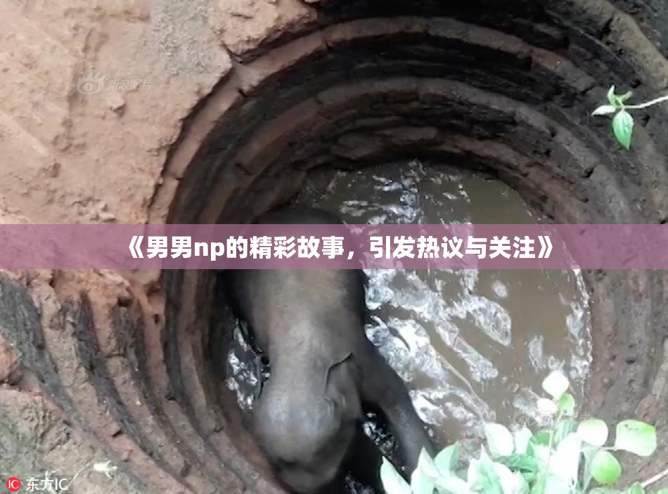 《男男np的精彩故事，引发热议与关注》