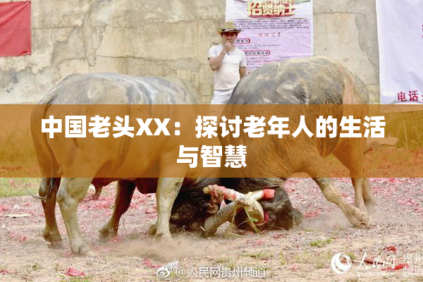 中国老头XX：探讨老年人的生活与智慧